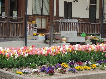 f:id:i-hato-bo:20180526005032p:image:w360