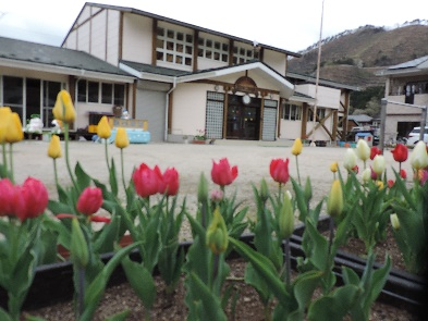 f:id:i-hato-bo:20180526005047p:image:w360