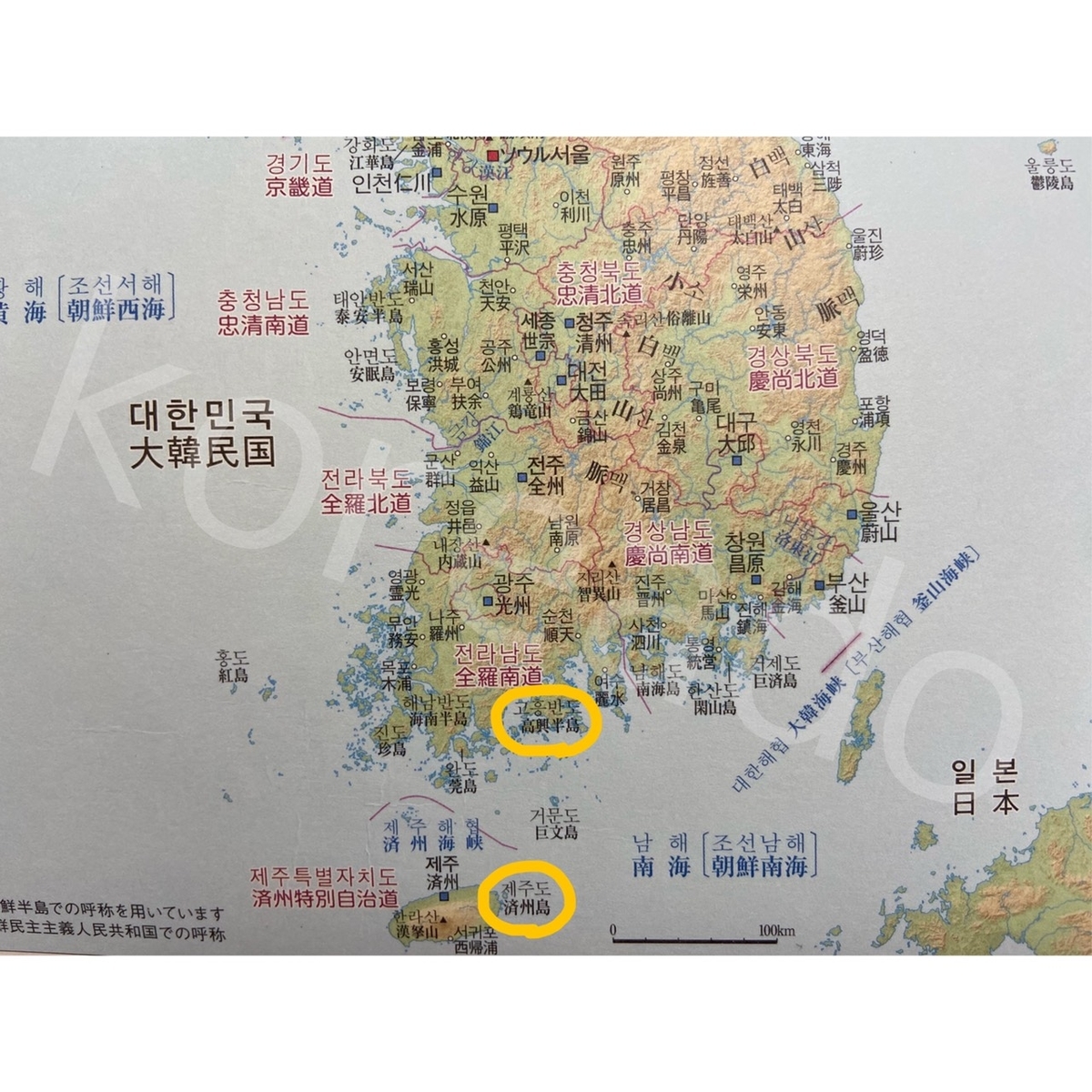 知らないと損 ゆず の効能 効果 オススメゆず茶紹介 ミニミニ韓国語講座もあり サランのコリア堂