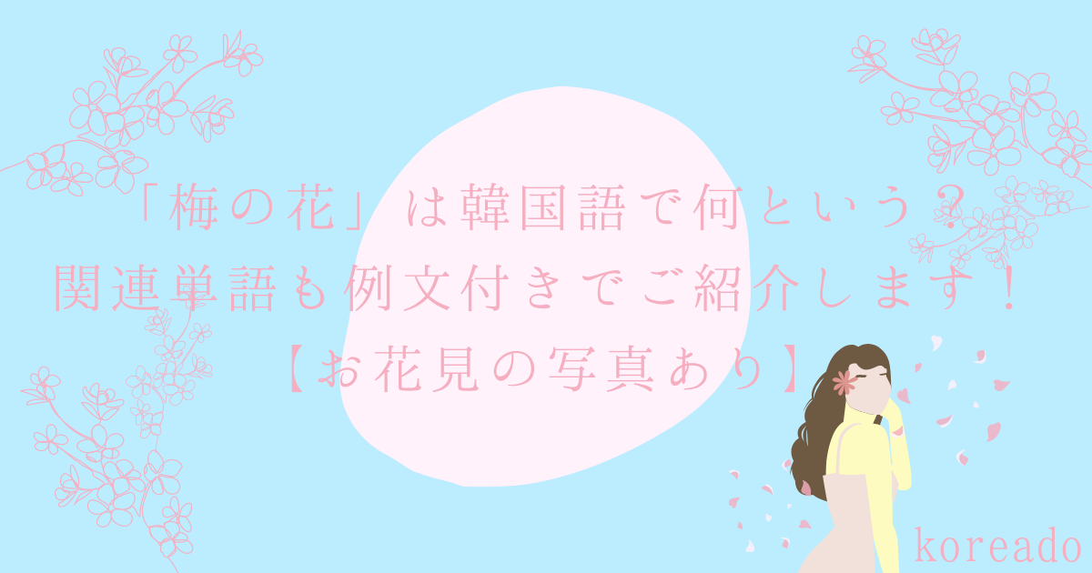 梅の花 は韓国語で何という 関連単語も例文付きでご紹介します お花見の写真あり サランのコリア堂