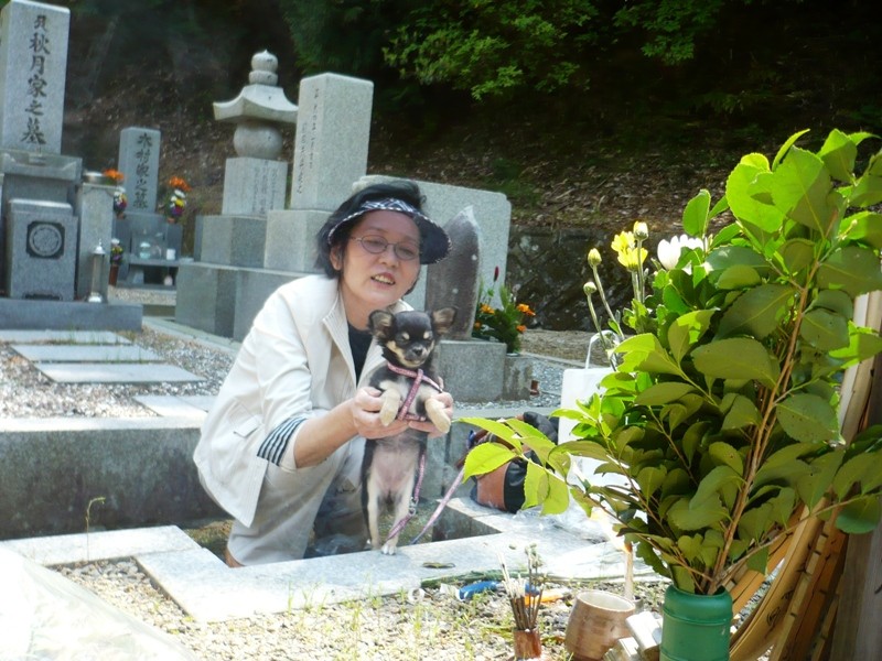 f:id:i-noboru:20090429115808j:image:w350 f:id:i-noboru:20090429115808j:image:w350