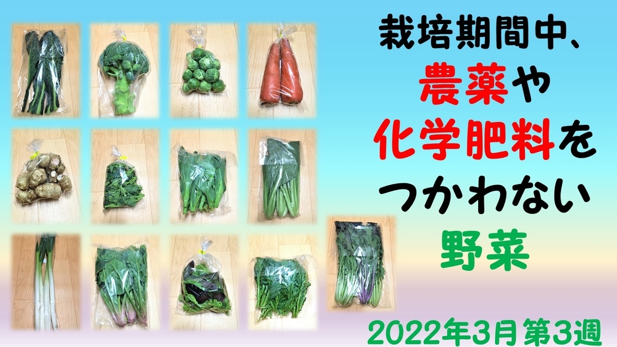 f:id:i-papax:20220317194813j:plain