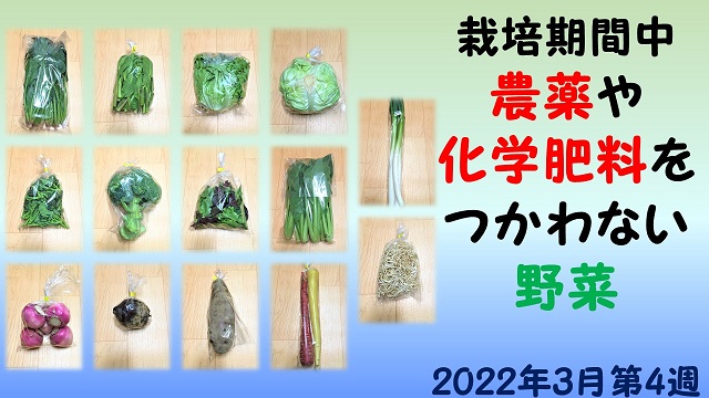 f:id:i-papax:20220324222210j:plain