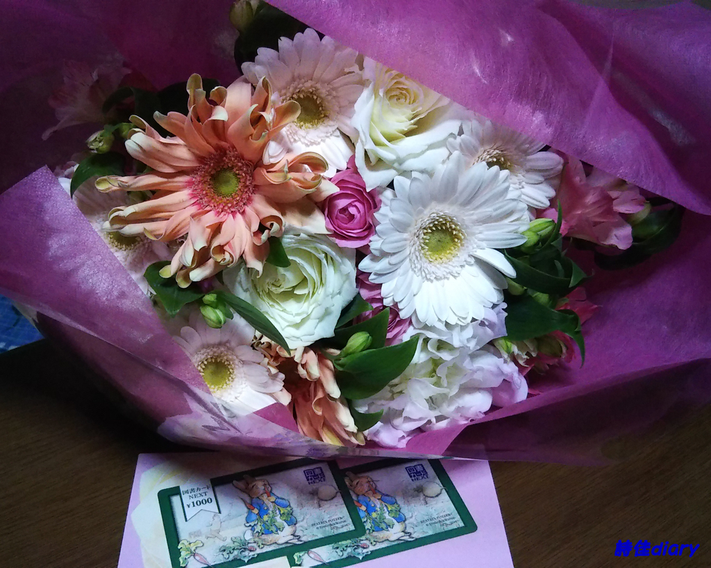 f:id:i-shiika:20190301195656j:plain f:id:i-shiika:20190301195656j:plain