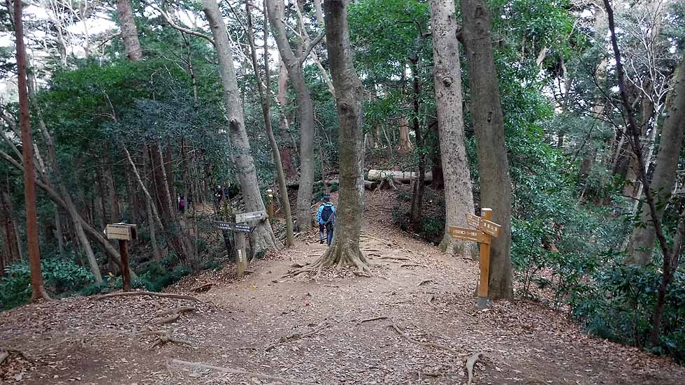 f:id:i-shizukichi:20170103165653j:plain
