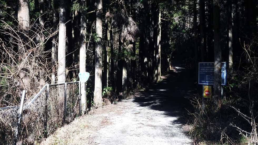 f:id:i-shizukichi:20170112182902j:plain f:id:i-shizukichi:20170112182902j:plain