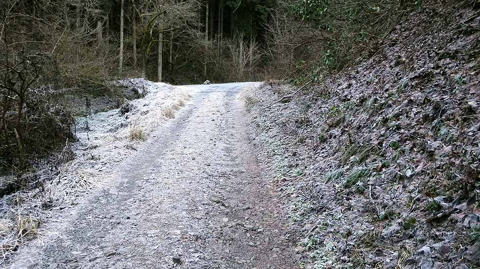 f:id:i-shizukichi:20170112182910j:plain f:id:i-shizukichi:20170112182910j:plain