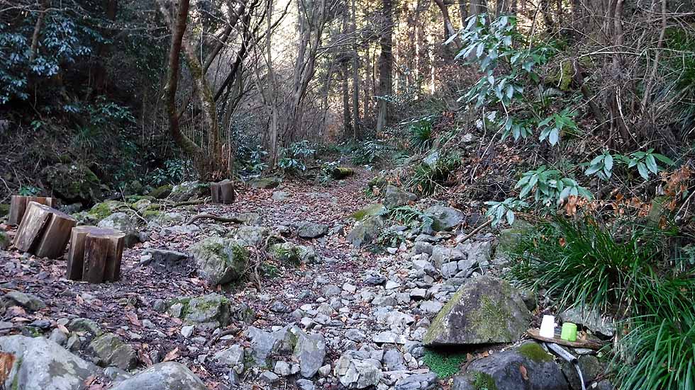 f:id:i-shizukichi:20170112182934j:plain f:id:i-shizukichi:20170112182934j:plain