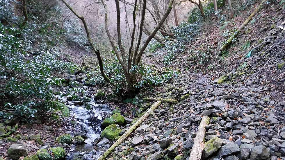 f:id:i-shizukichi:20170112182950j:plain f:id:i-shizukichi:20170112182950j:plain