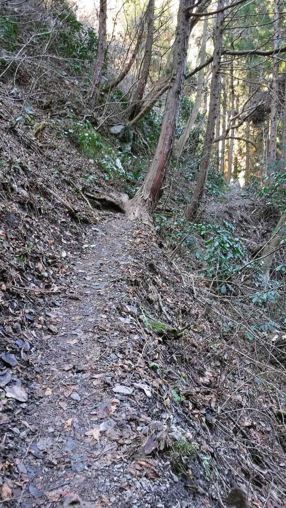 f:id:i-shizukichi:20170112182958j:plain f:id:i-shizukichi:20170112182958j:plain