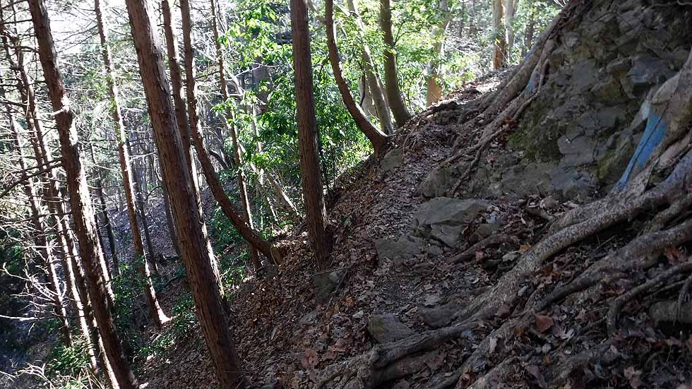 f:id:i-shizukichi:20170112183105j:plain f:id:i-shizukichi:20170112183105j:plain