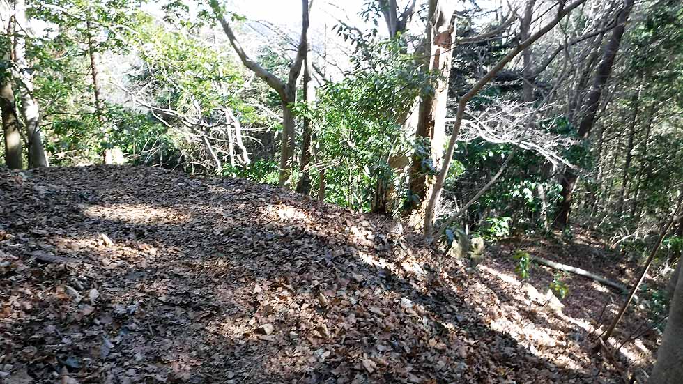 f:id:i-shizukichi:20170112183112j:plain f:id:i-shizukichi:20170112183112j:plain