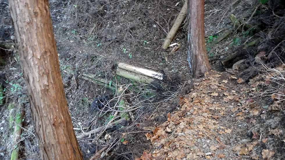 f:id:i-shizukichi:20170112183116j:plain f:id:i-shizukichi:20170112183116j:plain