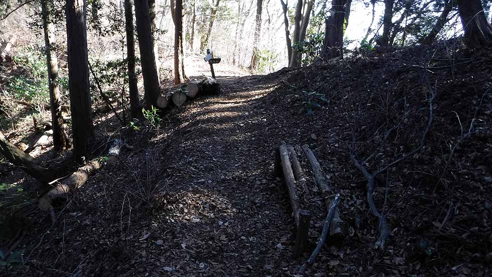 f:id:i-shizukichi:20170112183125j:plain f:id:i-shizukichi:20170112183125j:plain