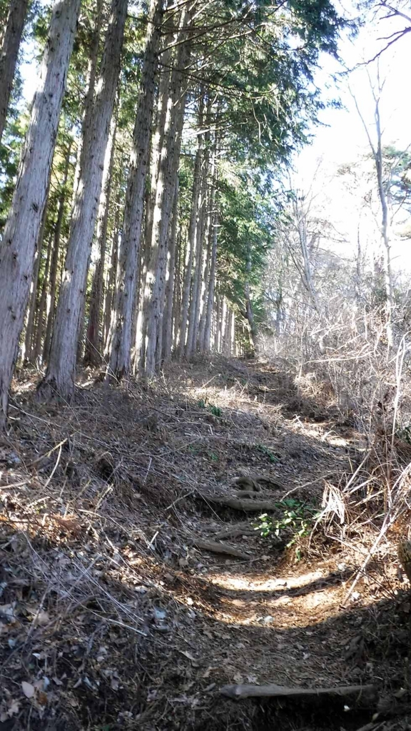 f:id:i-shizukichi:20170112183131j:plain f:id:i-shizukichi:20170112183131j:plain