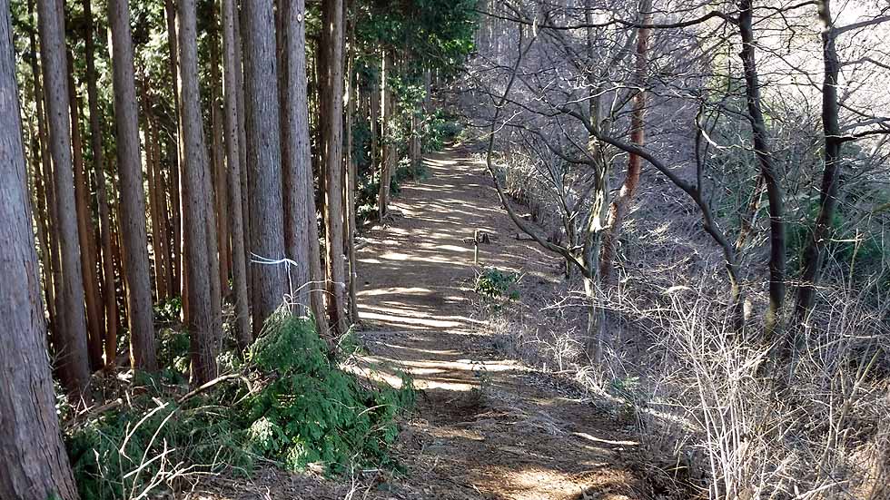 f:id:i-shizukichi:20170112183139j:plain f:id:i-shizukichi:20170112183139j:plain