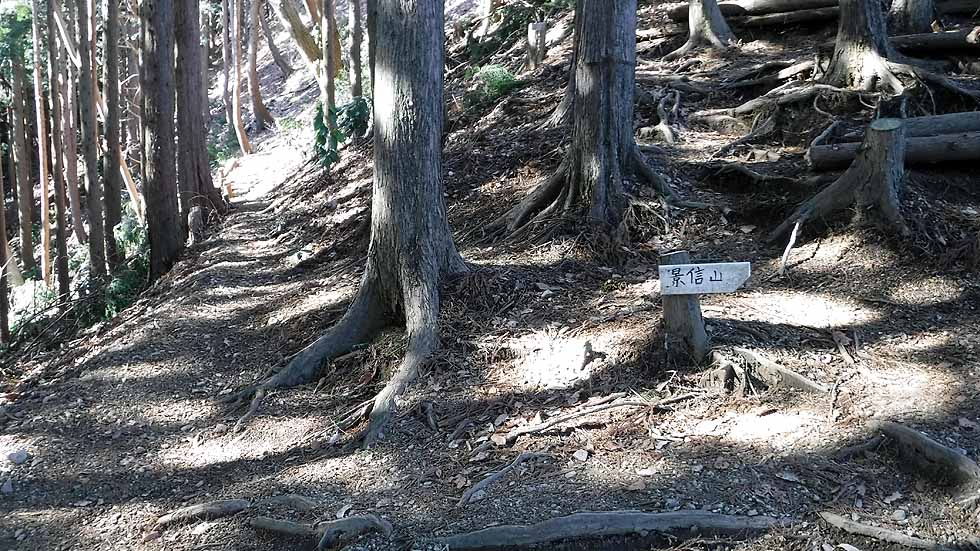 f:id:i-shizukichi:20170112183202j:plain f:id:i-shizukichi:20170112183202j:plain