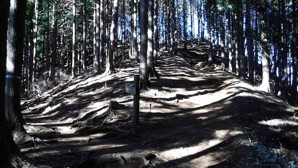 f:id:i-shizukichi:20170112183328j:plain f:id:i-shizukichi:20170112183328j:plain