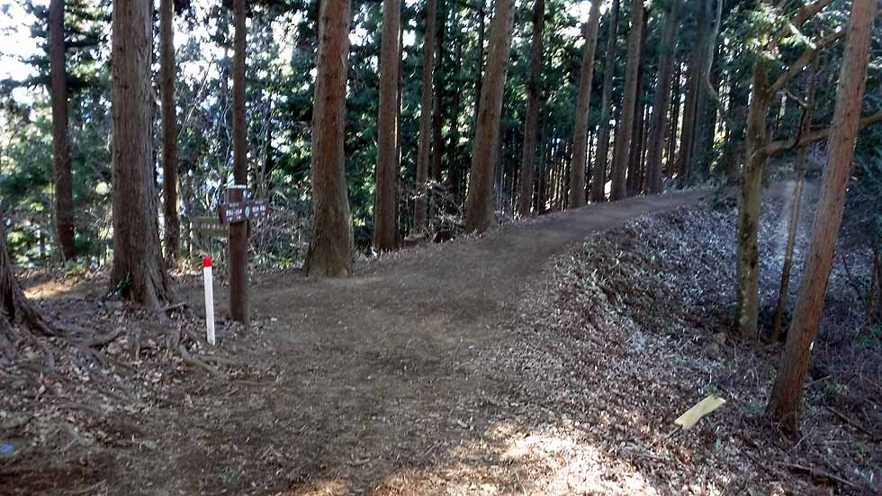 f:id:i-shizukichi:20170112183336j:plain f:id:i-shizukichi:20170112183336j:plain