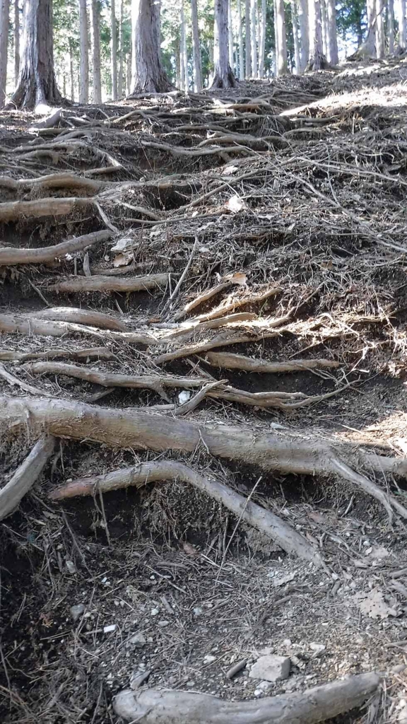 f:id:i-shizukichi:20170112183345j:plain f:id:i-shizukichi:20170112183345j:plain