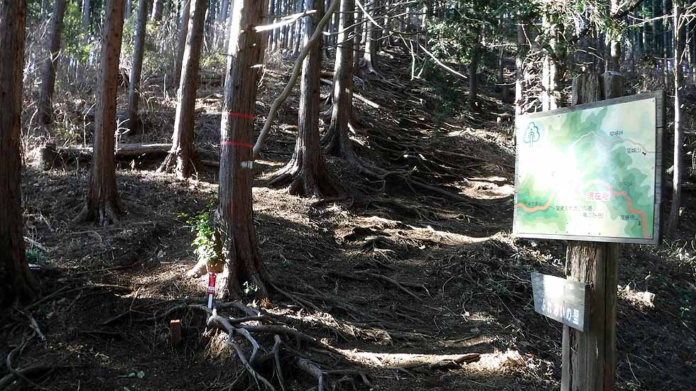 f:id:i-shizukichi:20170112183402j:plain f:id:i-shizukichi:20170112183402j:plain