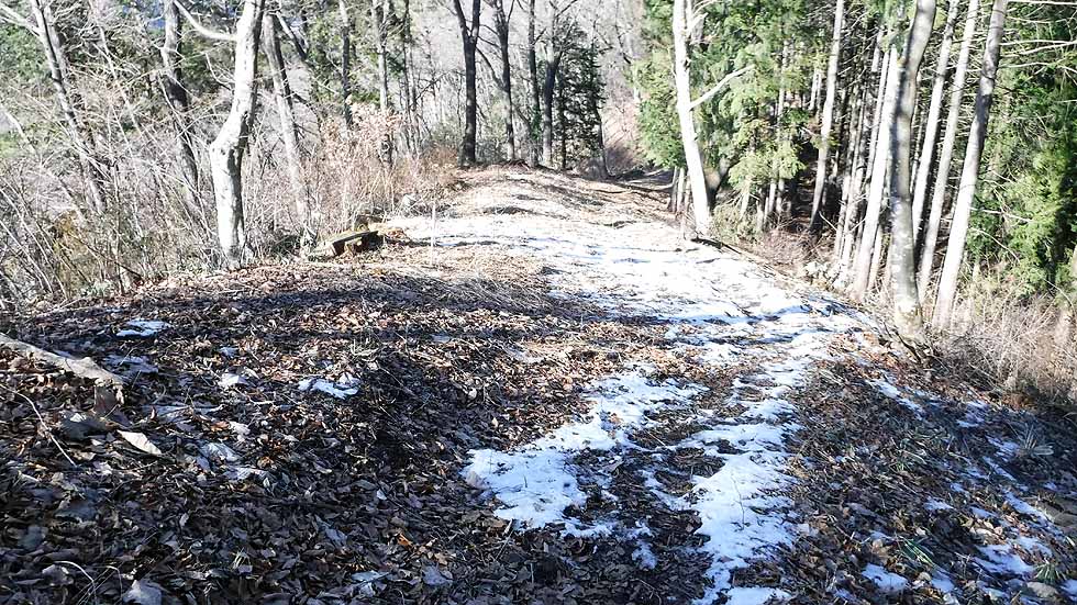 f:id:i-shizukichi:20170112184306j:plain