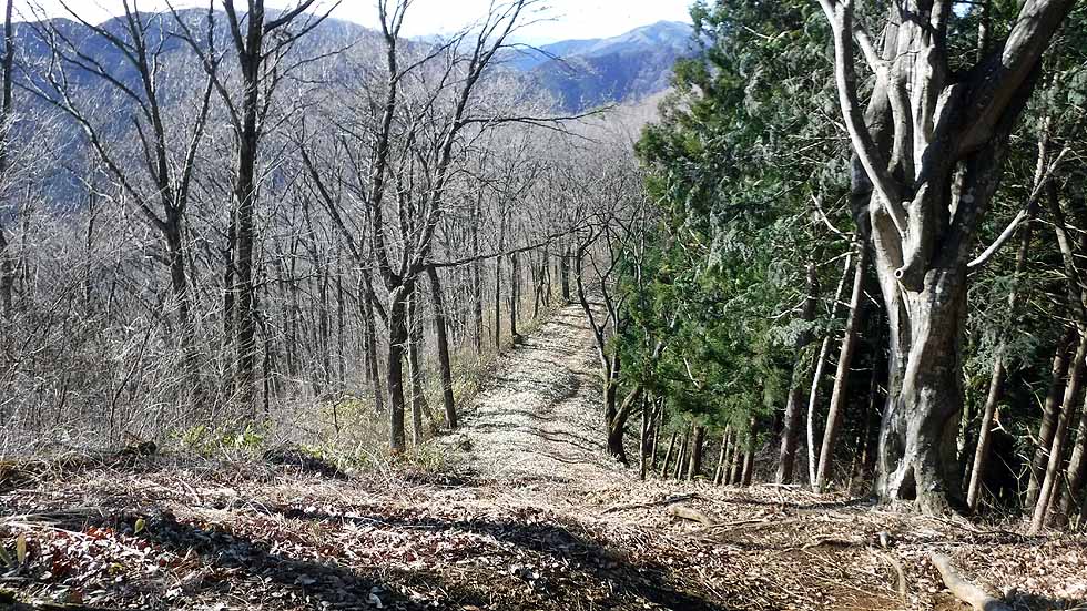 f:id:i-shizukichi:20170112184601j:plain f:id:i-shizukichi:20170112184601j:plain