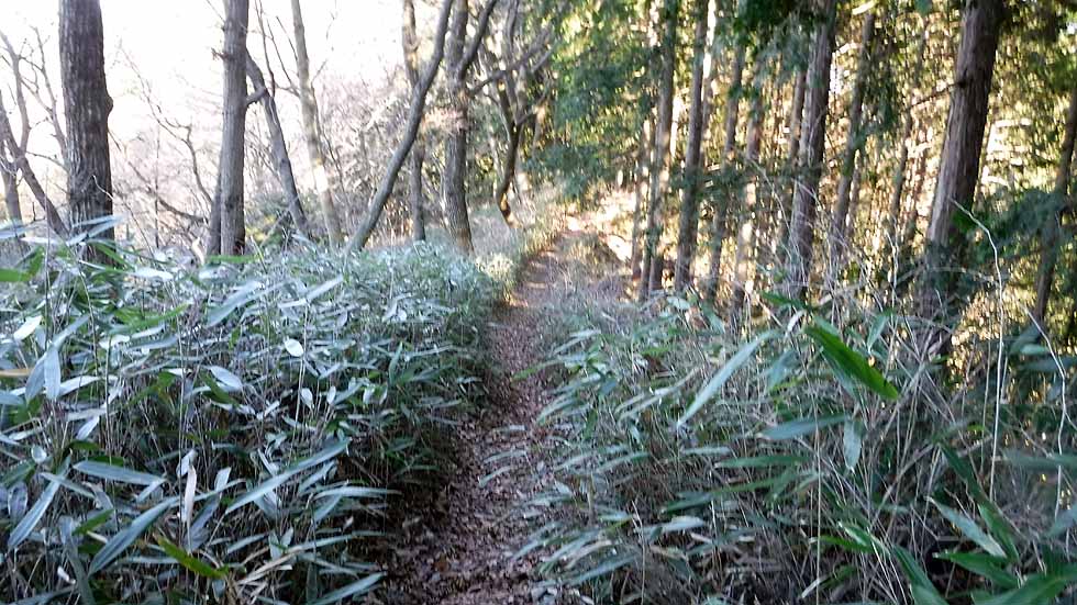 f:id:i-shizukichi:20170112184630j:plain f:id:i-shizukichi:20170112184630j:plain