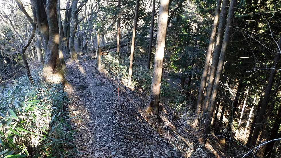 f:id:i-shizukichi:20170112184744j:plain f:id:i-shizukichi:20170112184744j:plain