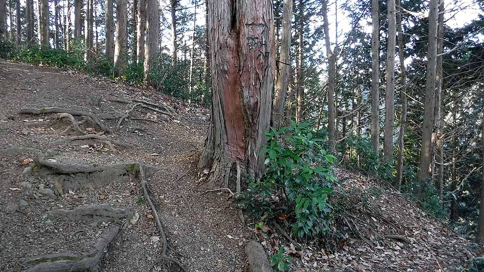 f:id:i-shizukichi:20170113191449j:plain