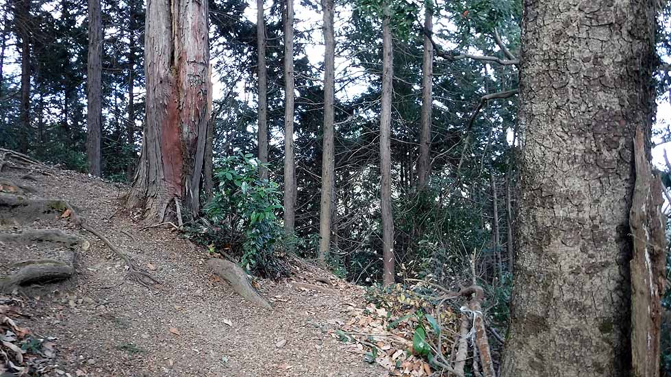 f:id:i-shizukichi:20170115193835j:plain