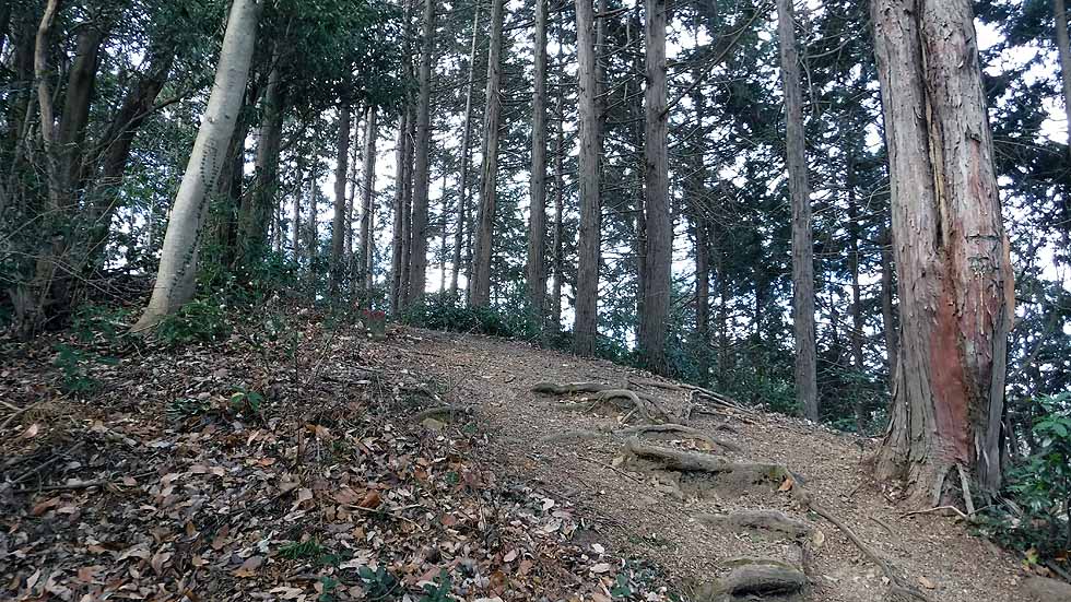 f:id:i-shizukichi:20170115194222j:plain