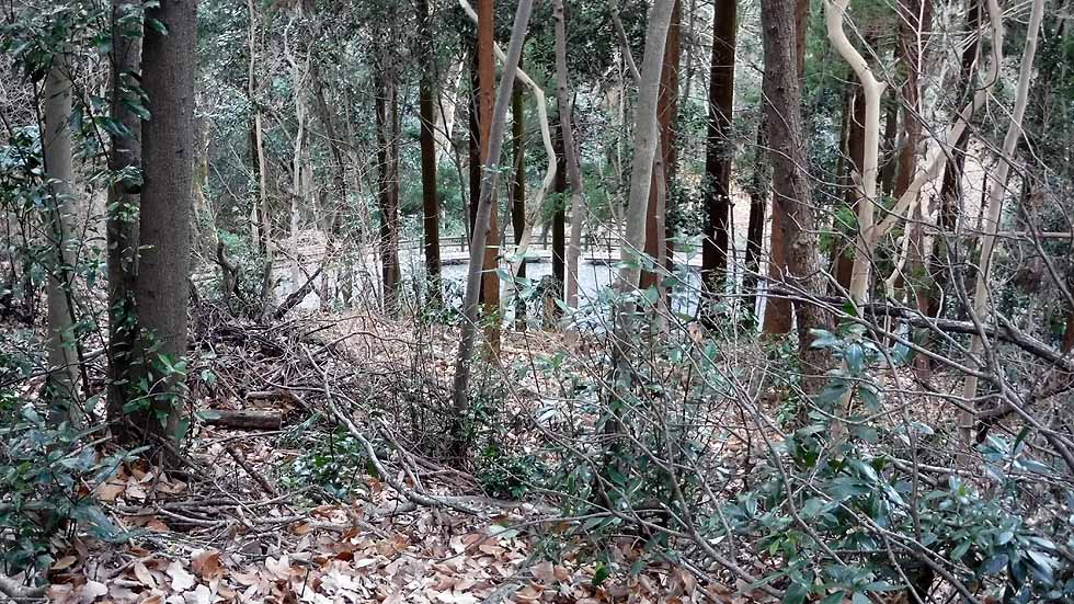 f:id:i-shizukichi:20170115200635j:plain