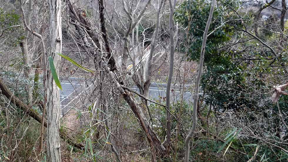 f:id:i-shizukichi:20170115202019j:plain