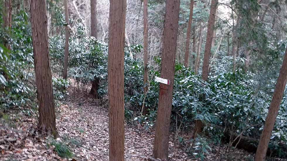f:id:i-shizukichi:20170115202728j:plain