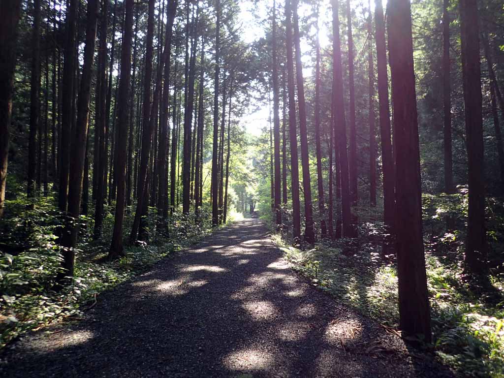 f:id:i-shizukichi:20170926211400j:plain f:id:i-shizukichi:20170926211400j:plain