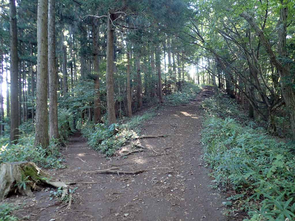 f:id:i-shizukichi:20171010201211j:plain