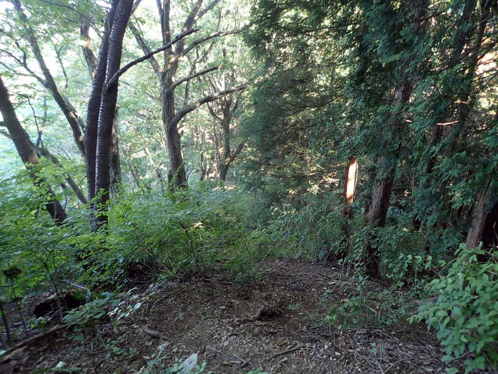 f:id:i-shizukichi:20171010202431j:plain