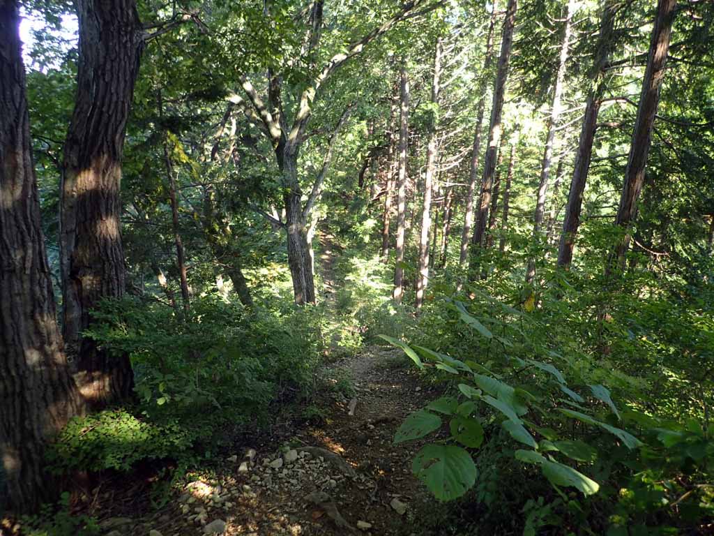 f:id:i-shizukichi:20171010202433j:plain