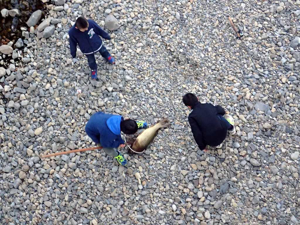 f:id:i-shizukichi:20171116183829j:plain