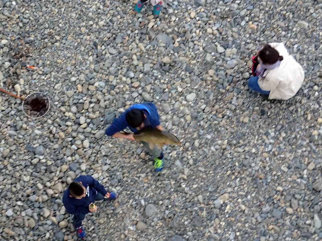 f:id:i-shizukichi:20171116183834j:plain