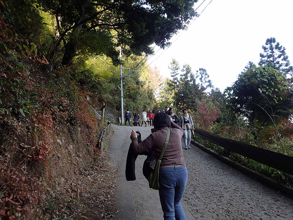 f:id:i-shizukichi:20171125190825j:plain