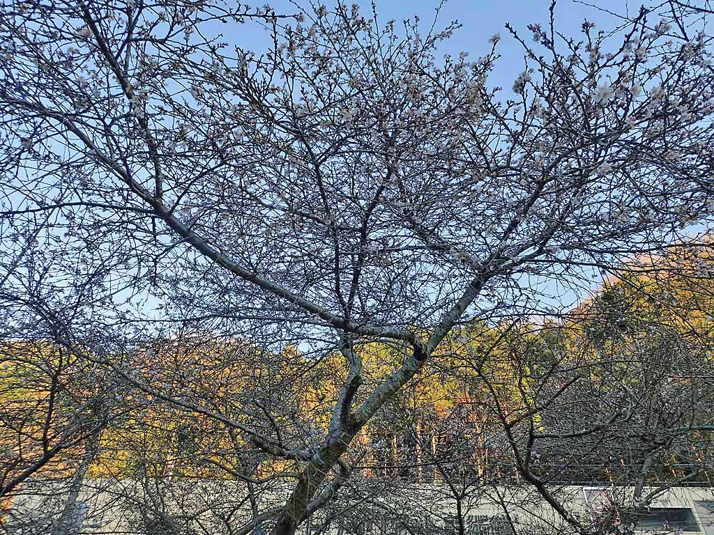 f:id:i-shizukichi:20171228185351j:plain f:id:i-shizukichi:20171228185351j:plain