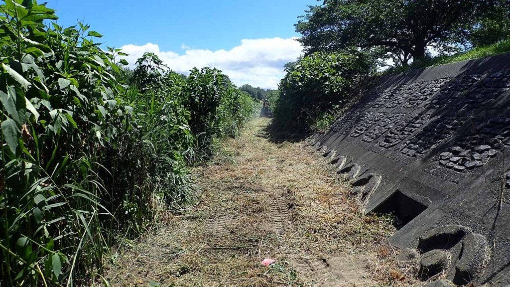 f:id:i-shizukichi:20180701054428j:plain