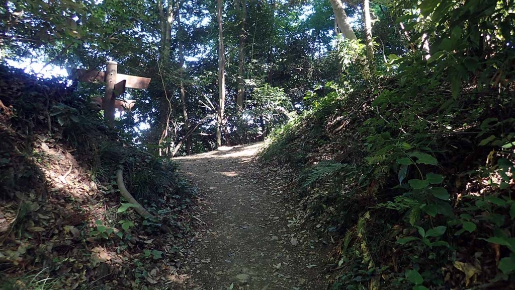 f:id:i-shizukichi:20180701060827j:plain