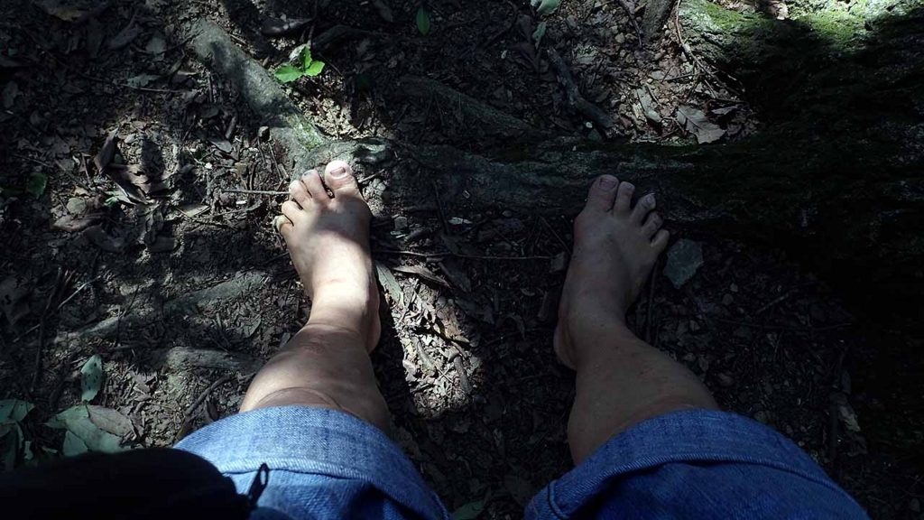 f:id:i-shizukichi:20180701061553j:plain