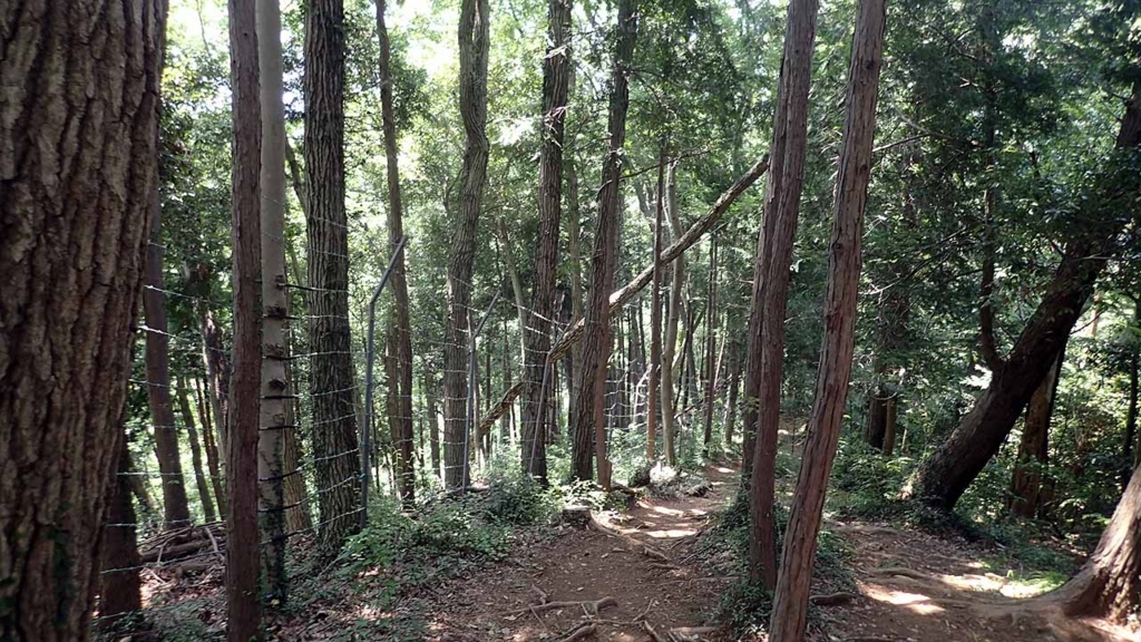 f:id:i-shizukichi:20180714210452j:plain f:id:i-shizukichi:20180714210452j:plain