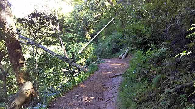 f:id:i-shizukichi:20180814201711j:plain