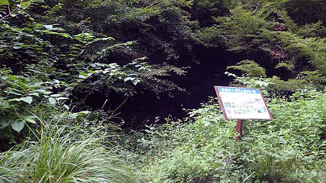 f:id:i-shizukichi:20180831223908j:plain f:id:i-shizukichi:20180831223908j:plain