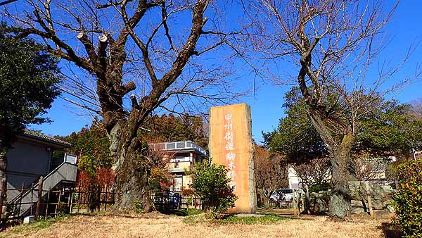 f:id:i-shizukichi:20190101164901j:plain
